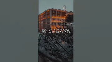 أفأنت تهدي العمي ولو كانوا لا يبصرون القارئ عبد الرحمن مسعد قرآن 