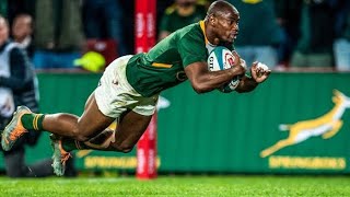 Top 20 Springbok Tries In The Last 5 Years That Shocked The World