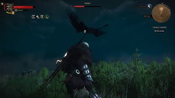 Shrieker fight, Witcher 3 Enhanced Edition