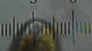20100306_204952_TearDropProtistFlagella.avi