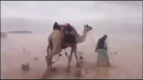 ومن آياته أنك ترى الأرض خاشعة فإذا أنزلنا عليها الماء اهتزت وربت إن الذي أحياها- المنشاوى