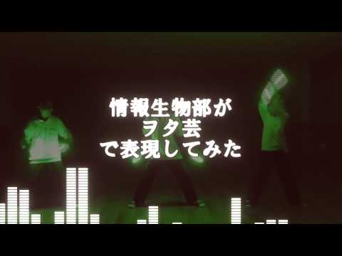 中学生の文化部が学校でヲタ芸をやってみた【編集：ぅp主（中学生）】