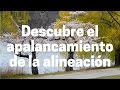 Descubre la palanca de tu alineación ~ Abraham-Hicks en español