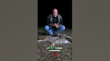 Mastering Quiet Stand Setup for Hunting Success