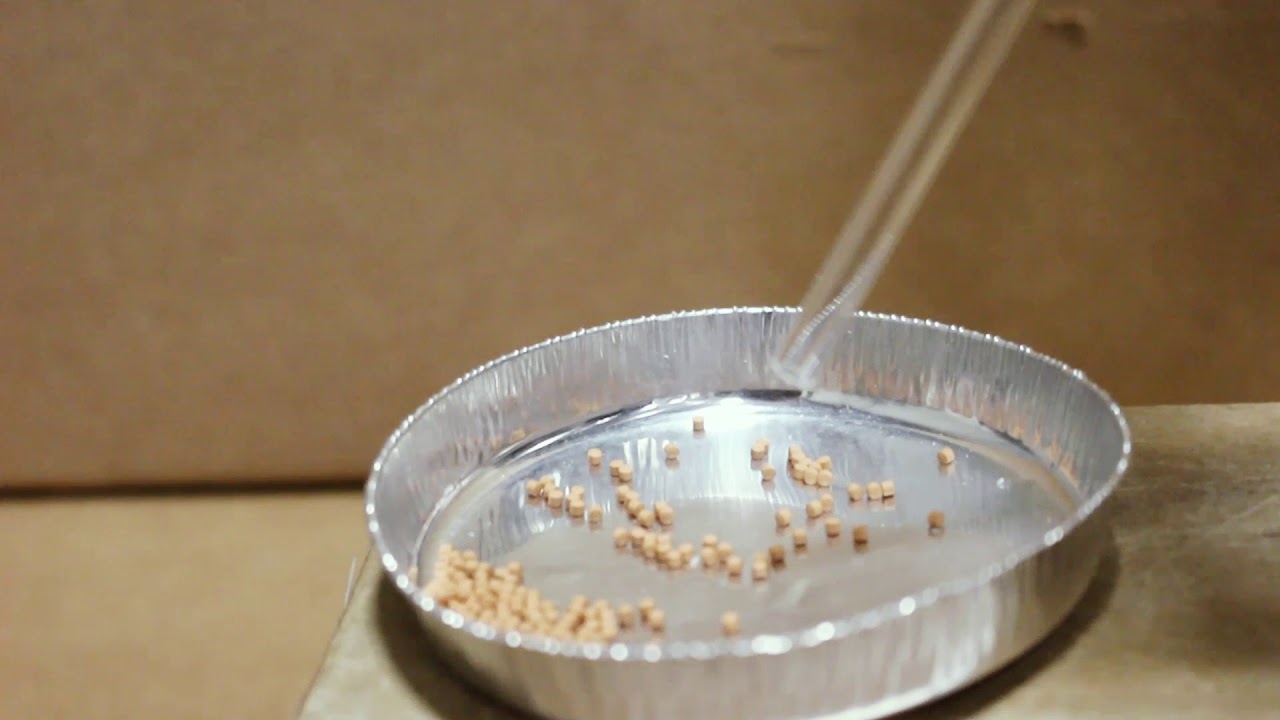 Small Parts Dispenser YouTube