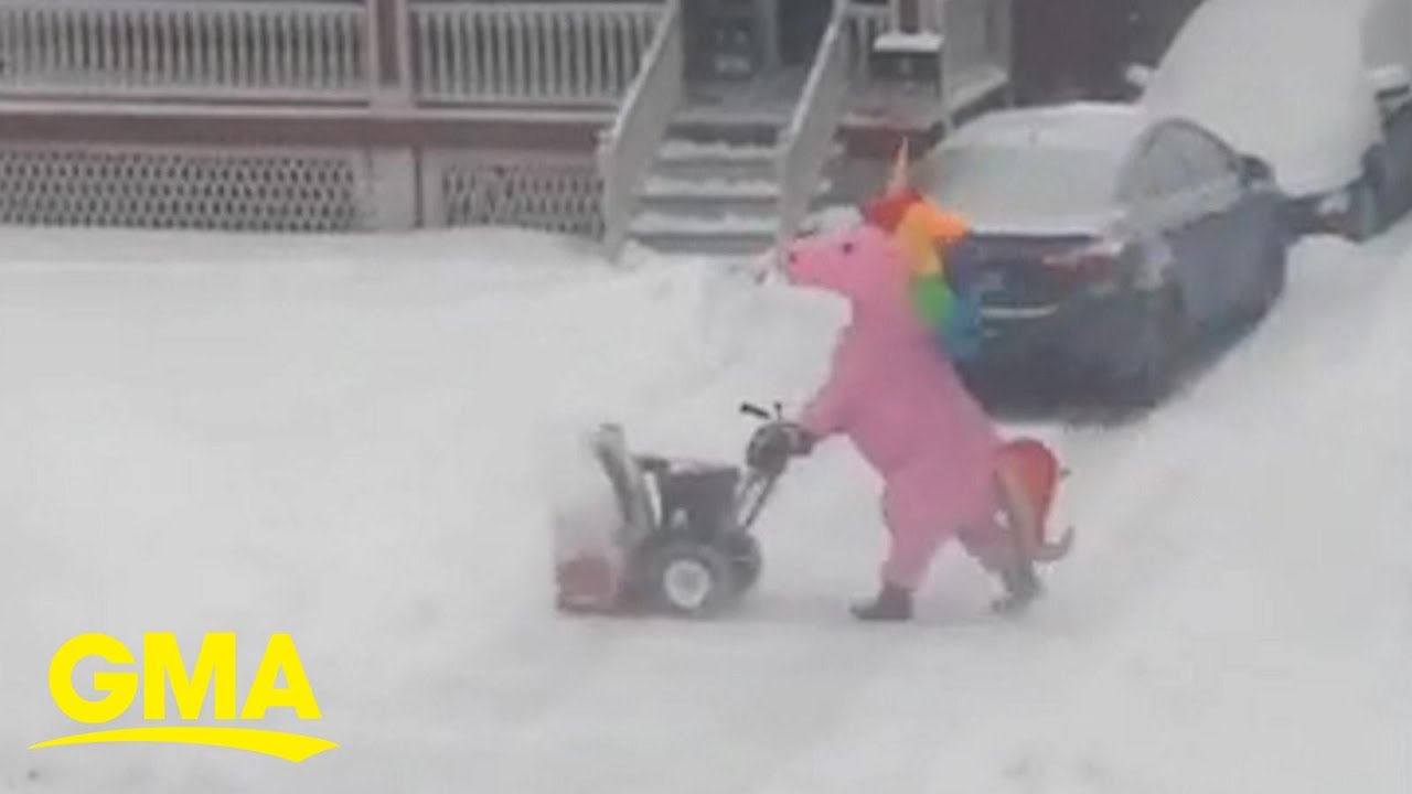 Man clears snow for his neighborhood in unicorn costume