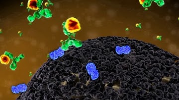 Single Molecule Counting Technology Video