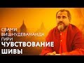 Сатсанг "Чувствование Шивы". Свами Вишнудевананда Гири