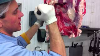Beef Hindquarter Breakdown