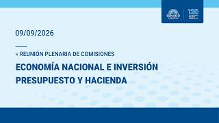 PLENARIO DE ECONOMÍA NACIONAL Y PRESUPUESTO 09-09-26