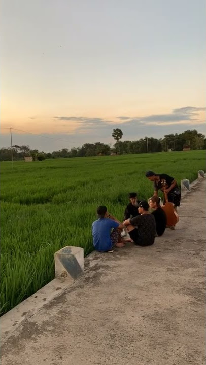 story' nyore di sawah