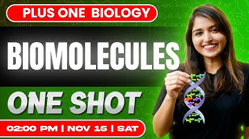 Plus One Biology | Biomolecules  | Oneshot | Exam Winner