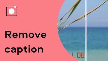 How to REMOVE A DATE STAMP OR CAPTION from a picture | NEW Movavi Picverse Tutorial