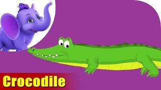 Crocodile Rhymes, Crocodile Animal Rhymes Videos for Children