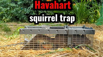 Havahart Squirrel trap