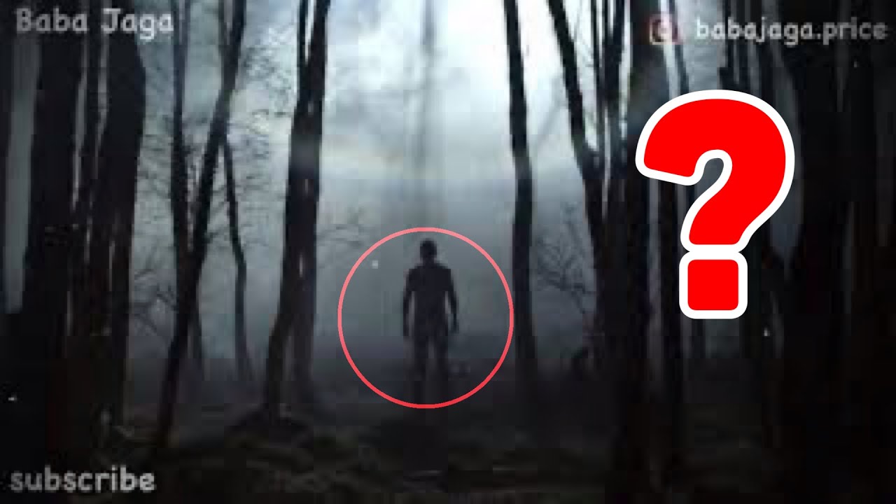 ⁣ŠTA SAM TO VIDEO U ŠUMI? - Istinita priča - Misterija