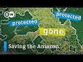 Deforestation in the Brazilian Amazon: Challenges and Solutions