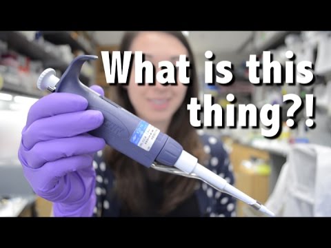 Pipette | What is this thing?!