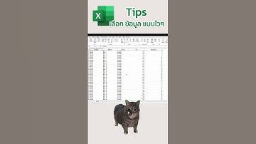 วิธีเลือกข้อมูลทั้งหมดแบบไว ๆ ใน Microsoft Excel #exceltips