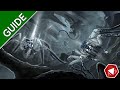 How to Beat the Phase Spider Matriarch in Baldur's Gate 3