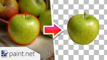 How to Easily Cut out Anything in Paint.NET (TR