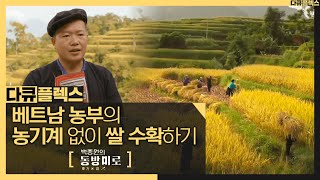 [HOT] a rice farmer, 다큐플렉스 20201217