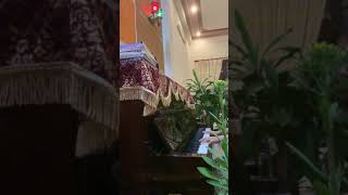 Mùa Xuân đầu tiên - Văn Cao (Piano Lê Hằng) screenshot 5