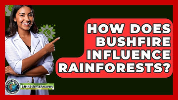 How Does Bushfire Influence Rainforests? - Earth Science Answers