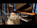 『くるみ割り人形』より 2.金平糖の踊り チャイコフスキー=プレトニョフ / Tchaikovsky=Pletnev"The Nutcracker" Dance of Sugar-Plum Fairy