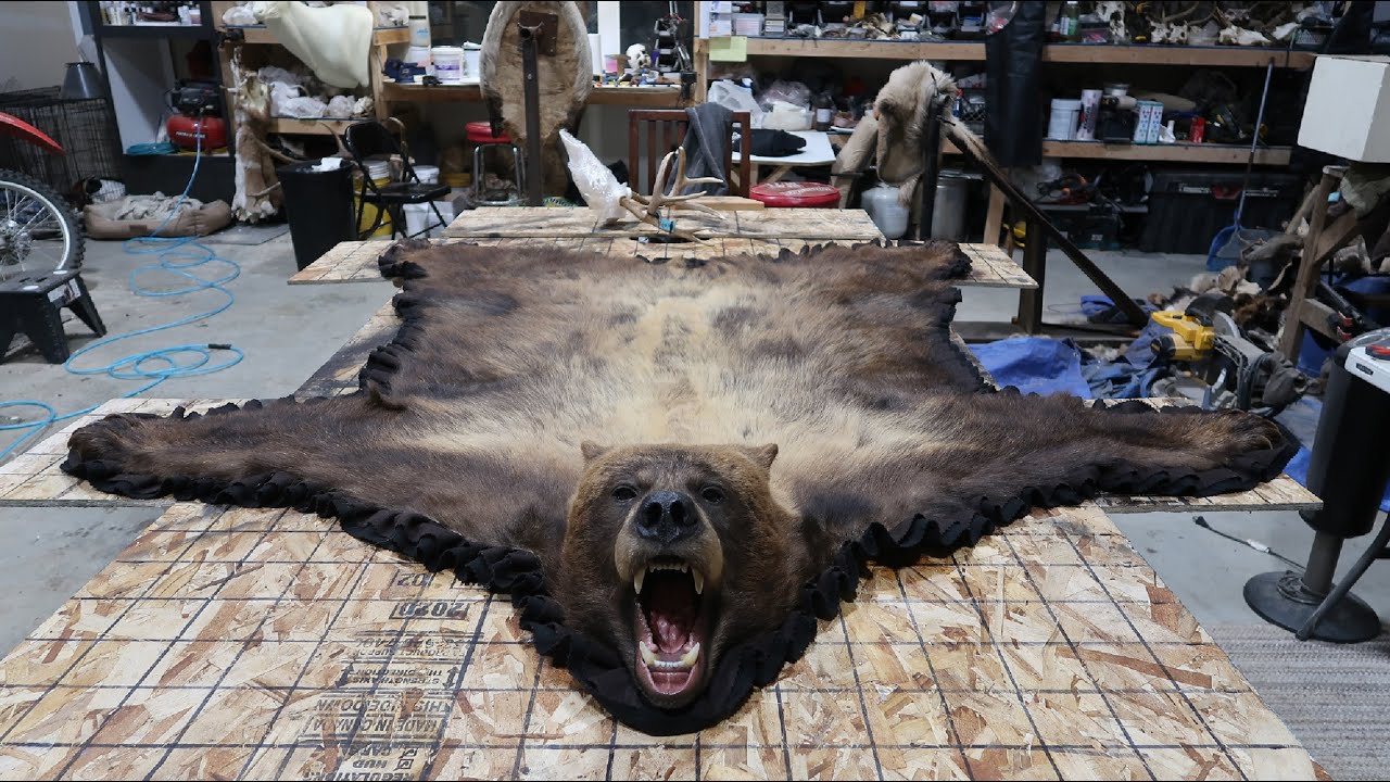 How Much For A Bear Rug