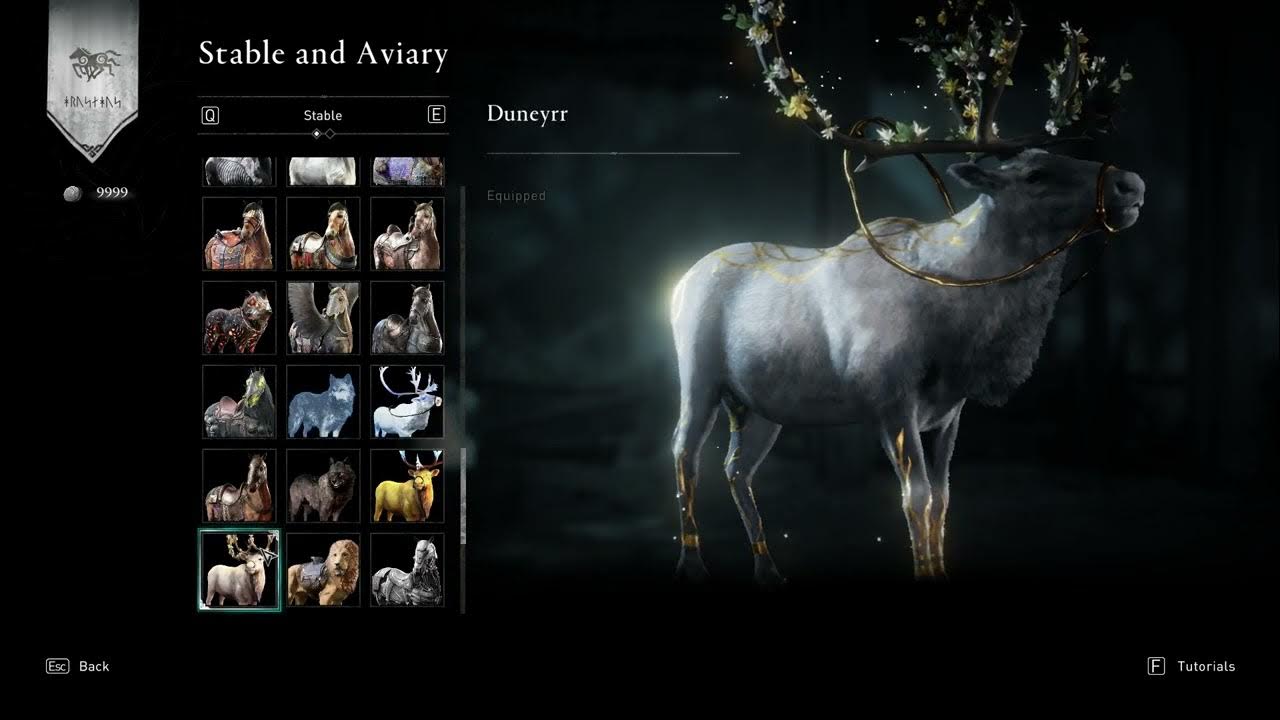 Assassin's Creed Valhalla ALL MOUNTS Showcase [ALL DLCs] YouTube