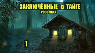 Ксюша-2 Заключённые В Тайге Продолжение Книга -2 Дом В Лесу Истории Из Жизни Сериал 1