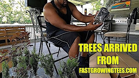 UNBOXING MY TREES AND FAST GROWING TREES FROM FASTGROWINGTREES.COM