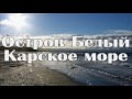 Уроки Арктики.  Остров Белый, Карское море