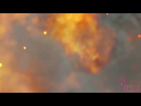 Who's the Terrorist?||3D Short