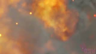 Whos the Terrorist?||3D Short