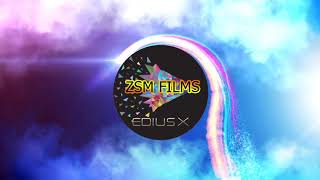 Edius After Effects Premiere Pro Intro Studio Logo Projects ZSM 2020 2021 #ZSM