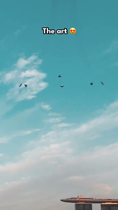 The artists. The art. An unforgettable SG60 tribute aerial flypast. 🇸🇬✈️
