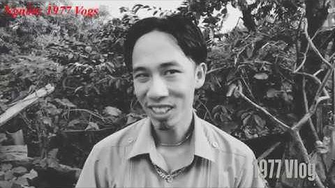 Những câu Cà Khịa đỉnh cao trong P1- 1977 Cà Khịa