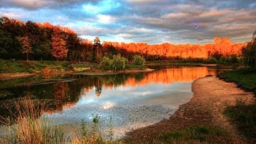 Simulación de Variables Aleatorias Discretas en Wolfram Mathematica