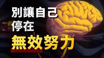 知道卻做不到，是因為自己笨嗎？硬核腦科學分析，揭秘自我成長的底層密碼！