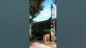 Thumbnail of Railroad Crossing in Japan #shorts