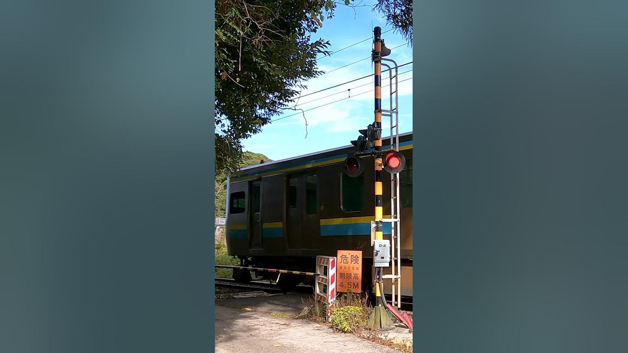 Railroad Crossing in Japan #shorts