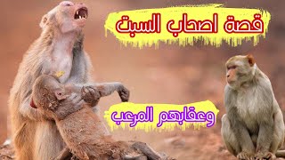 من هم اصحاب السبت ؟ ولماذا مسخهم الله الى قردة؟ بني اسرائيل