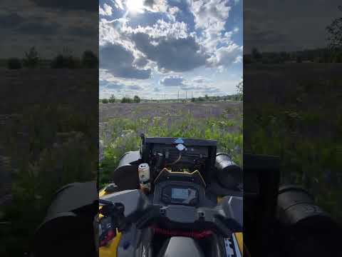 #stels#nagibator#gepard#atv#покатухи#offroad#стелсгепард#келози#кипень#ездабоком#дрифт#atvkipen