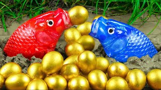 Satisfying videos Stop Motion Cooking ASMR &amp; Funny Videos |Rescue Colorful Carp Throwing Yellow Eggs