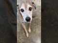 Molly is taking Monday a little slow.