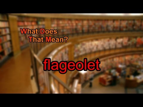 What does flageolet mean?