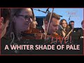 A Whiter Shade Of Pale - LIVE!