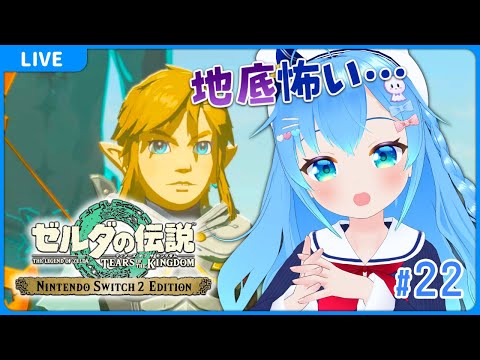 【#22 ゼルダの伝説 ティアーズ オブ ザ キングダム】【VTuber初見実況】